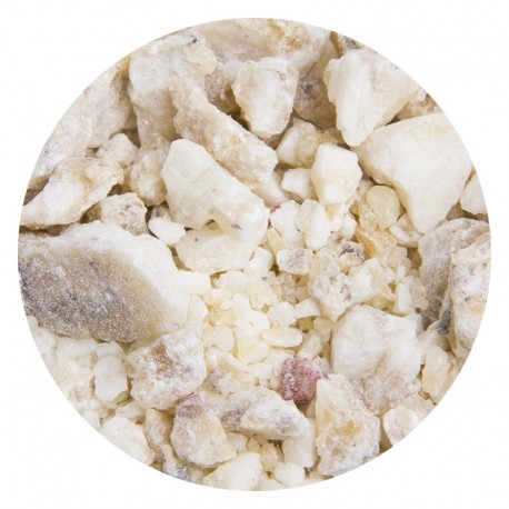 Incense Djaoui white - 1st quality - 1 Kg