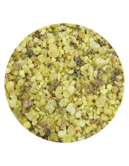 Encens Jérusalem 1 Kg