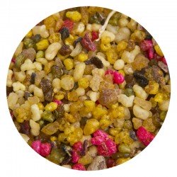 Encens Saint Gabriel 1 Kg