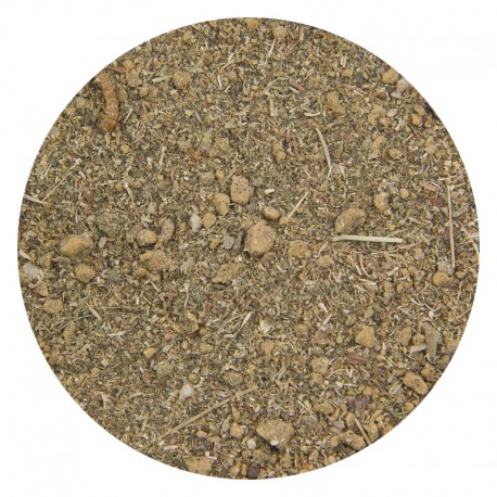 50g Incienso general