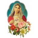 Sticker -  sacred heart of Mary - 10 X 13 cm