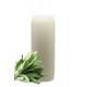 Bougies Neuvaines - Blanches - parfum sauge