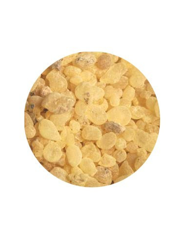 Encens Mastic - 500 gr