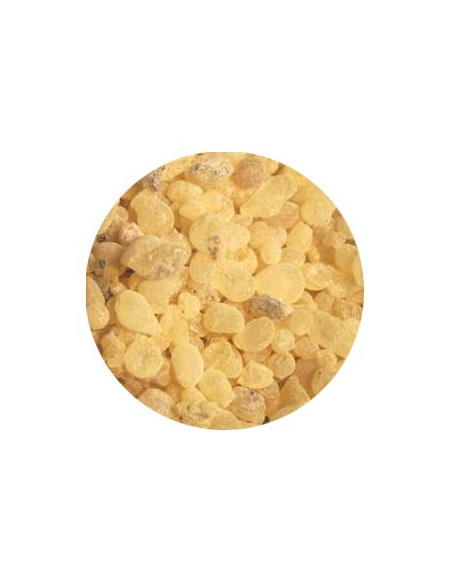 Masilla Incienso - 500 gr
