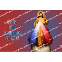 Autocollant Christ Miséricordieux - rectangulaire  