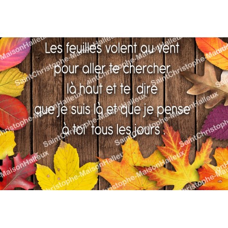 Autocollant Sacré Cœur de Jésus - rectangulaire  