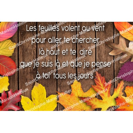 Autocollant Sacré Cœur de Jésus - rectangulaire  