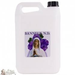 Botella con agua Banneux n.d 5L