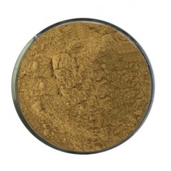 Encens Poudre de Lotus - 1 kg