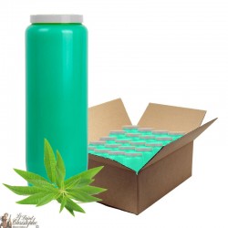 Candele profumate alla Verbena