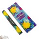 Sun Moon Incense Sticks - Darshan