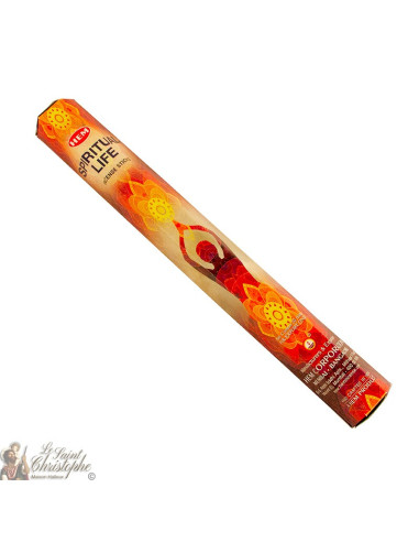 Encens Vie Spirituelle bâtons - HEM