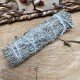 Stick salvia - 12 cm
