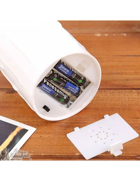 Led kaars met flikkerende vlam - Wonderbaarlijke Maagd