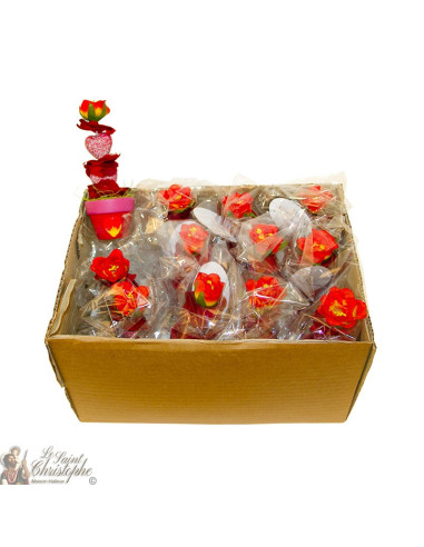 Bouquets of flowers - red pot