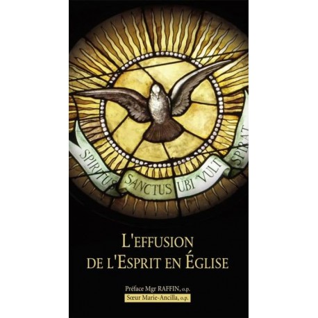Notre Dame de la médaille miraculeuse Prières et Textes 