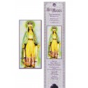 Pocket incenso della Vergine miracolosa  - 15 pezzi - 60gr
