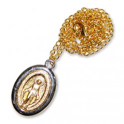 Medalla de la Virgen Milagrosa con cadena