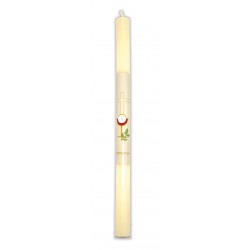 Candle of communion Beige 40 cm