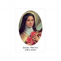 Autocollants Rectangulaires - "Sainte Thérèse, aidez-nous" - 8 pièces - Français