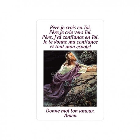 Autocollants Rectangulaires - "Jésus en prière" - 8 pièces - Français