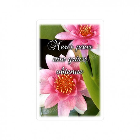 Autocollants Rectangulaires - "Merci pour grâce - 2" - 8 pièces - Français