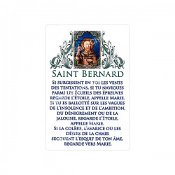 Autocollants Rectangulaires - "Saint Bernard" - 8 pièces - Français