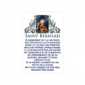 Autocollants Rectangulaires - "Saint Bernard" - 8 pièces - Français