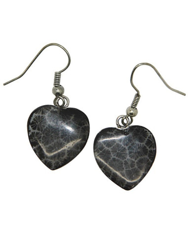 Boucles d'oreilles cœurs 