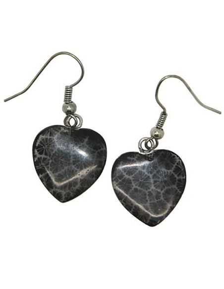 Boucles d'oreilles cœurs 