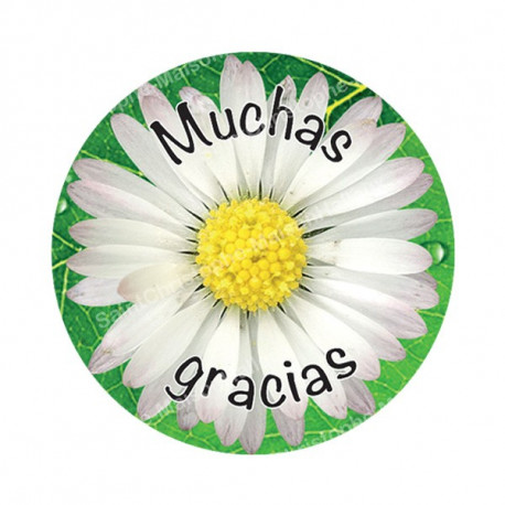 Autocollants ronds - 45mm - "Muchas gracias 2" - planche 24 pièces