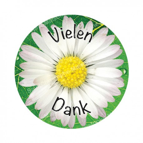 Autocollants ronds - 45mm - "Vielen Dank 2" - planche 24 pièces