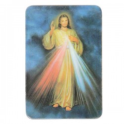 magnetische plaat om de koelkast met Christus Barmhartige