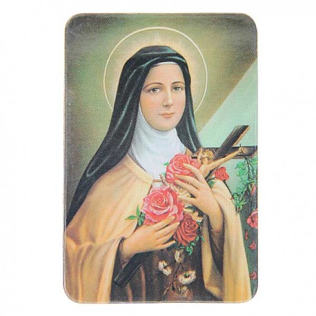 Plaque frigo de l'Apparition Lourdes 