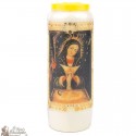 Candles Novenas to Our Lady of Altagrace - French Prayer