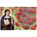 Sticker van noveenkaars met gebed - Sainte Odile