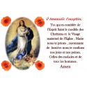 Novena Candle Sticker with Prayer - Immaculate Conception