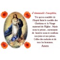 Sticker of novena candle with prayer- Immaculate Conception