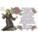 Novena candle sticker with prayer - Saint Rosalie