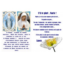 Autocollant bougie de neuvaine avec prière français - Vierge Miraculeuse Banneux
