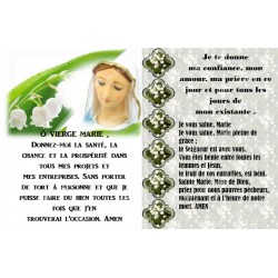 Sticker voor noveenkaars met gebed - Maagd Maria 4