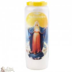 Candles Novenas to The Mediating Virgin - French Prayer