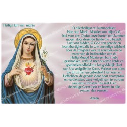 Pegatina para velas de novena con la oración holandesa - Sagrado Corazón de María