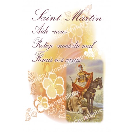 Autocollants Rectangulaires - "Saint Martin - 1" - 8 pièces - Français