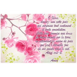 Novena candle sticker with prayer - Prayer to Jesus