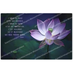 decorative sticker  for  novena candle With citation in French - lotus flower