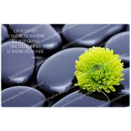 Adesivo decorativo  candela novena con la citazione in francese -  zen , felicità