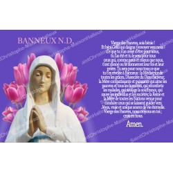 Adesivo francese  con la preghiera - Madonna di Banneux - 2